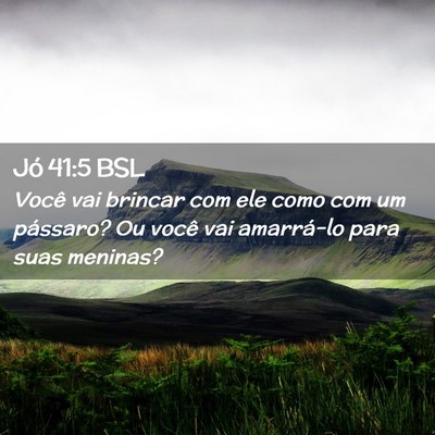 Picture 02 - Jó 41:5 BSL - Você vai brincar com ele como com um pássaro? - Bible Verse Picture