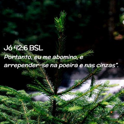 Picture 02 - Jó 42:6 BSL - Portanto, eu me abomino, e arrepender-se na - Bible Verse Picture