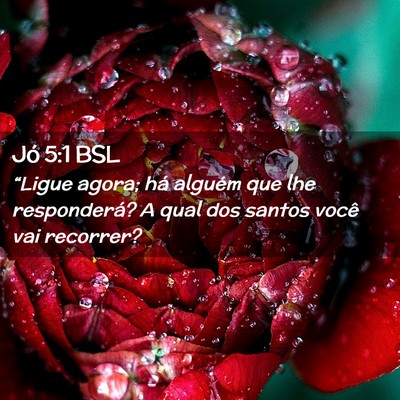 Picture 02 - Jó 5:1 BSL - “Ligue agora; há alguém que lhe responderá? - Bible Verse Picture
