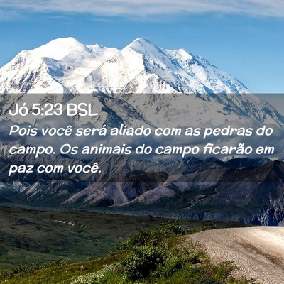 Picture 02 - Jó 5:23 BSL - Pois você será aliado com as pedras do campo. - Bible Verse Picture