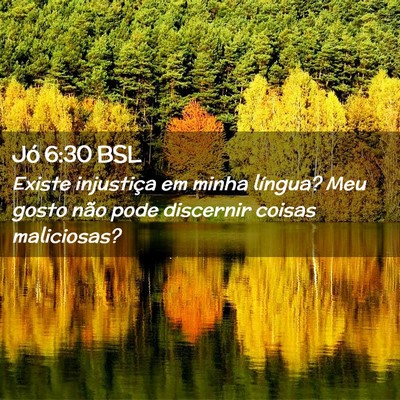 Picture 02 - Jó 6:30 BSL - Existe injustiça em minha língua? Meu gosto - Bible Verse Picture