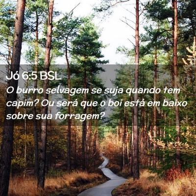 Picture 02 - Jó 6:5 BSL - O burro selvagem se suja quando tem capim? Ou - Bible Verse Picture