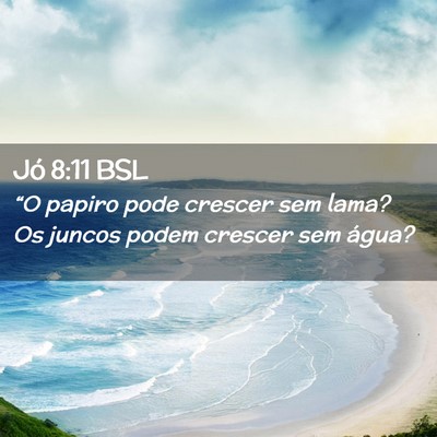Picture 02 - Jó 8:11 BSL - “O papiro pode crescer sem lama? Os juncos - Bible Verse Picture