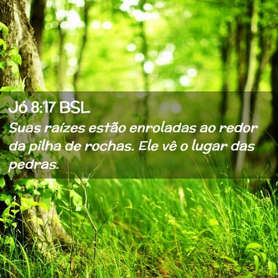 Picture 02 - Jó 8:17 BSL - Suas raízes estão enroladas ao redor da pilha - Bible Verse Picture