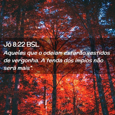 Picture 02 - Jó 8:22 BSL - Aqueles que o odeiam estarão vestidos de - Bible Verse Picture