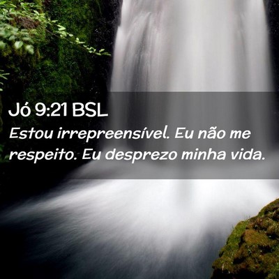 Picture 02 - Jó 9:21 BSL - Estou irrepreensível. Eu não me respeito. Eu - Bible Verse Picture