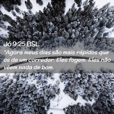 Picture 02 - Jó 9:25 BSL - “Agora meus dias são mais rápidos que os de - Bible Verse Picture