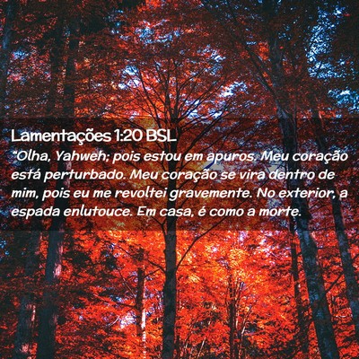 Picture 02 - Lamentações 1:20 BSL - “Olha, Yahweh; pois estou em apuros. Meu - Bible Verse Picture