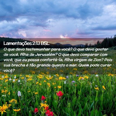 Picture 02 - Lamentações 2:13 BSL - O que devo testemunhar para você? O que devo - Bible Verse Picture
