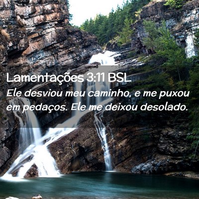 Picture 02 - Lamentações 3:11 BSL - Ele desviou meu caminho, e me puxou em pedaços. - Bible Verse Picture
