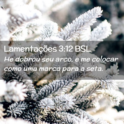 Picture 02 - Lamentações 3:12 BSL - He dobrou seu arco, e me colocar como uma marca - Bible Verse Picture