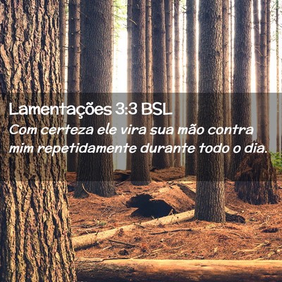 Picture 02 - Lamentações 3:3 BSL - Com certeza ele vira sua mão contra mim - Bible Verse Picture