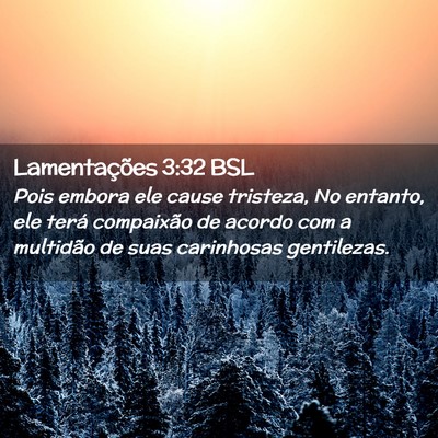 Picture 02 - Lamentações 3:32 BSL - Pois embora ele cause tristeza, No entanto, ele - Bible Verse Picture