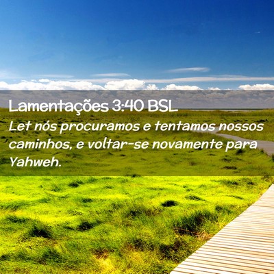 Picture 02 - Lamentações 3:40 BSL - Let nós procuramos e tentamos nossos caminhos, e - Bible Verse Picture