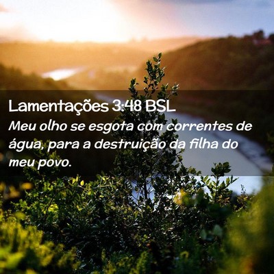 Picture 02 - Lamentações 3:48 BSL - Meu olho se esgota com correntes de água, para a - Bible Verse Picture