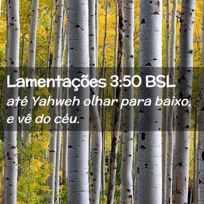 Picture 02 - Lamentações 3:50 BSL - até Yahweh olhar para baixo, e vê do - Bible Verse Picture