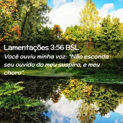 Picture 02 - Lamentações 3:56 BSL - Você ouviu minha voz: “Não esconda seu ouvido - Bible Verse Picture