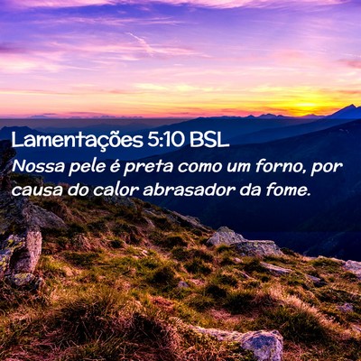 Picture 02 - Lamentações 5:10 BSL - Nossa pele é preta como um forno, por causa do - Bible Verse Picture