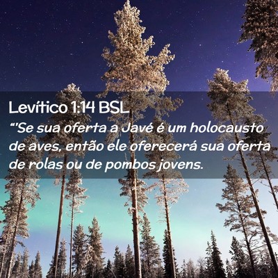 Picture 02 - Levítico 1:14 BSL - “'Se sua oferta a Javé é um holocausto de - Bible Verse Picture