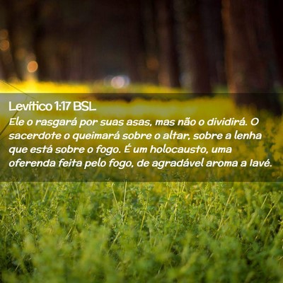 Picture 02 - Levítico 1:17 BSL - Ele o rasgará por suas asas, mas não o - Bible Verse Picture