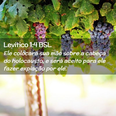 Picture 02 - Levítico 1:4 BSL - Ele colocará sua mão sobre a cabeça do - Bible Verse Picture