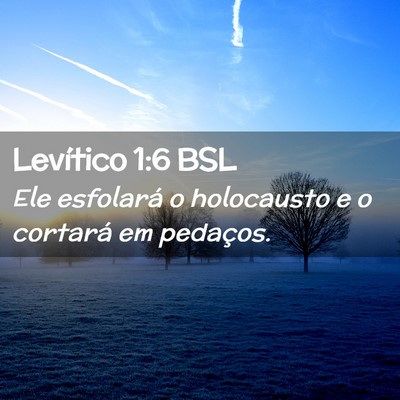 Picture 02 - Levítico 1:6 BSL - Ele esfolará o holocausto e o cortará em - Bible Verse Picture