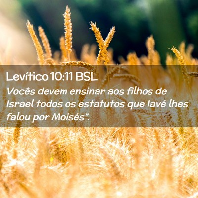 Picture 02 - Levítico 10:11 BSL - Vocês devem ensinar aos filhos de Israel todos - Bible Verse Picture
