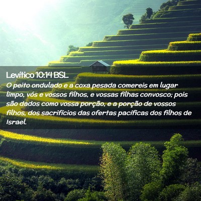 Picture 02 - Levítico 10:14 BSL - O peito ondulado e a coxa pesada comereis em - Bible Verse Picture