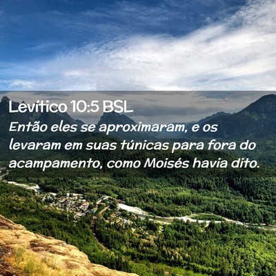 Picture 02 - Levítico 10:5 BSL - Então eles se aproximaram, e os levaram em suas - Bible Verse Picture