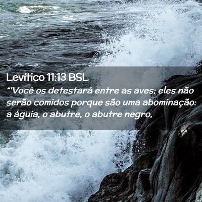 Picture 02 - Levítico 11:13 BSL - “'Você os detestará entre as aves; eles não - Bible Verse Picture