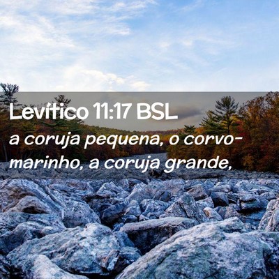 Picture 02 - Levítico 11:17 BSL - a coruja pequena, o corvo-marinho, a coruja - Bible Verse Picture