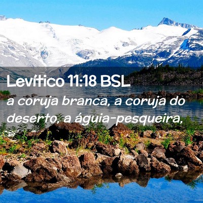 Picture 02 - Levítico 11:18 BSL - a coruja branca, a coruja do deserto, a - Bible Verse Picture