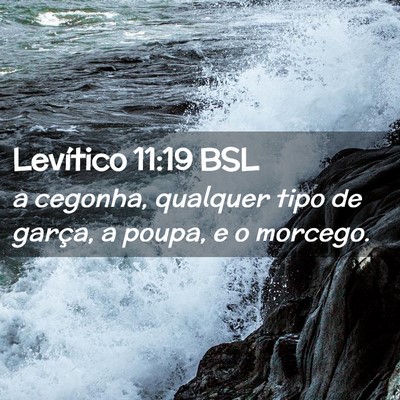 Picture 02 - Levítico 11:19 BSL - a cegonha, qualquer tipo de garça, a poupa, e o - Bible Verse Picture
