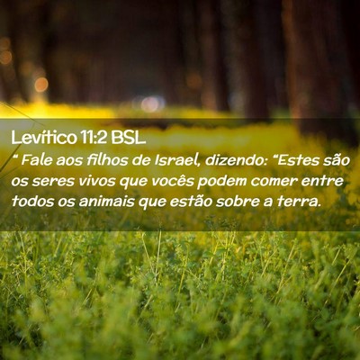 Picture 02 - Levítico 11:2 BSL - “ Fale aos filhos de Israel, dizendo: “Estes - Bible Verse Picture
