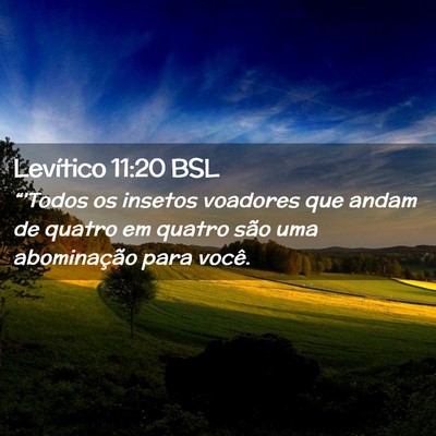 Picture 02 - Levítico 11:20 BSL - “'Todos os insetos voadores que andam de quatro - Bible Verse Picture
