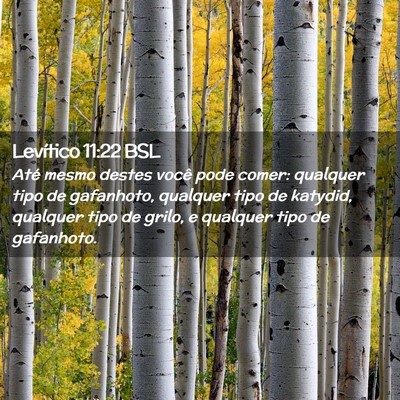 Picture 02 - Levítico 11:22 BSL - Até mesmo destes você pode comer: qualquer tipo - Bible Verse Picture