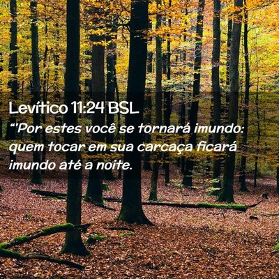 Picture 02 - Levítico 11:24 BSL - “'Por estes você se tornará imundo: quem - Bible Verse Picture
