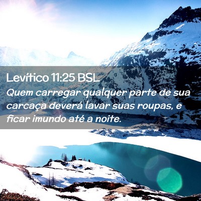 Picture 02 - Levítico 11:25 BSL - Quem carregar qualquer parte de sua carcaça - Bible Verse Picture