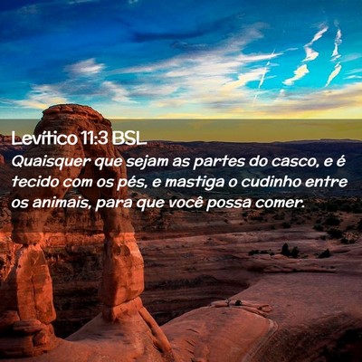 Picture 02 - Levítico 11:3 BSL - Quaisquer que sejam as partes do casco, e é - Bible Verse Picture