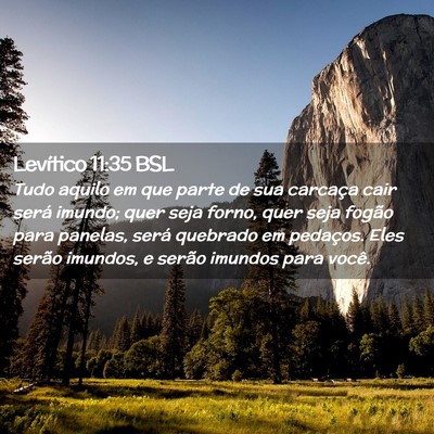 Picture 02 - Levítico 11:35 BSL - Tudo aquilo em que parte de sua carcaça cair - Bible Verse Picture