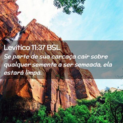 Picture 02 - Levítico 11:37 BSL - Se parte de sua carcaça cair sobre qualquer - Bible Verse Picture