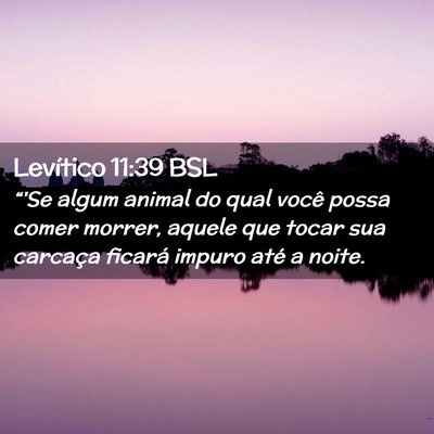 Picture 02 - Levítico 11:39 BSL - “'Se algum animal do qual você possa comer - Bible Verse Picture