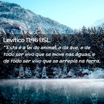 Picture 02 - Levítico 11:46 BSL - “'Esta é a lei do animal, e da ave, e de todo - Bible Verse Picture
