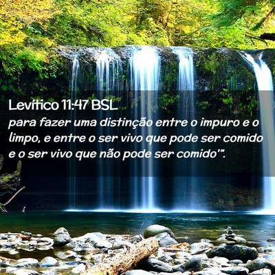 Picture 02 - Levítico 11:47 BSL - para fazer uma distinção entre o impuro e o - Bible Verse Picture