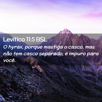 Picture 02 - Levítico 11:5 BSL - O hyrax, porque mastiga o casco, mas não tem - Bible Verse Picture
