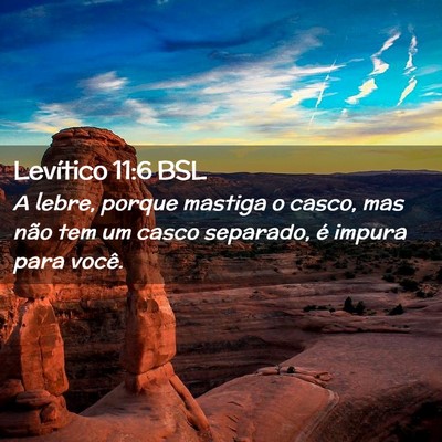 Picture 02 - Levítico 11:6 BSL - A lebre, porque mastiga o casco, mas não tem um - Bible Verse Picture