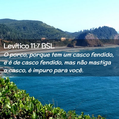 Picture 02 - Levítico 11:7 BSL - O porco, porque tem um casco fendido, e é de - Bible Verse Picture