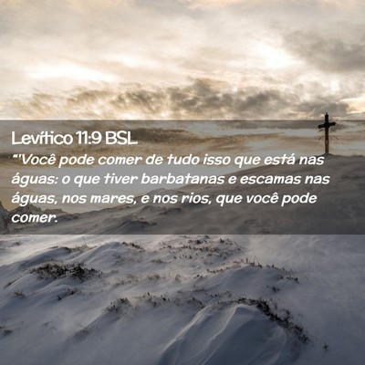 Picture 02 - Levítico 11:9 BSL - “'Você pode comer de tudo isso que está nas - Bible Verse Picture