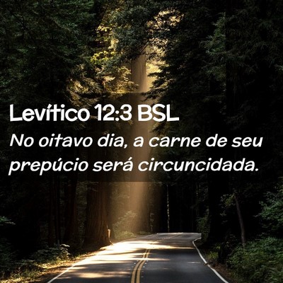 Picture 02 - Levítico 12:3 BSL - No oitavo dia, a carne de seu prepúcio será - Bible Verse Picture