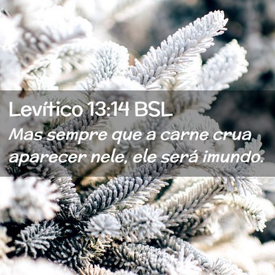 Picture 02 - Levítico 13:14 BSL - Mas sempre que a carne crua aparecer nele, ele - Bible Verse Picture